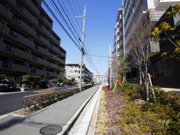 敷地南側の前面道路