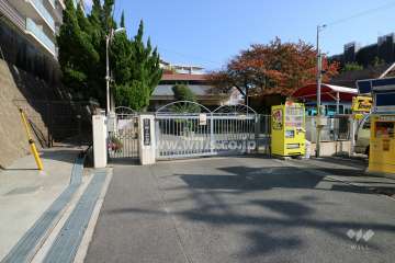 敷地西側の前面道路。