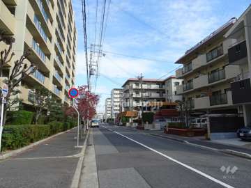 敷地北側の前面道路