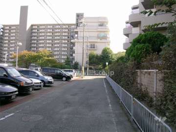 敷地の東側の道路（北側から）