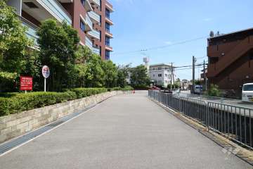 敷地西側の前面道路（北西側から）