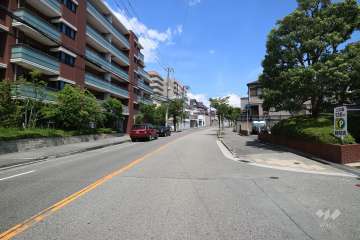 敷地南側の前面道路（西側から）
