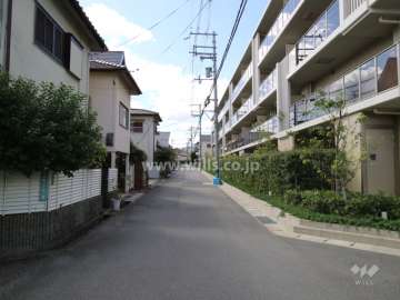 南東側の前面道路（北東側から）