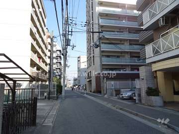 敷地北側の前面道路