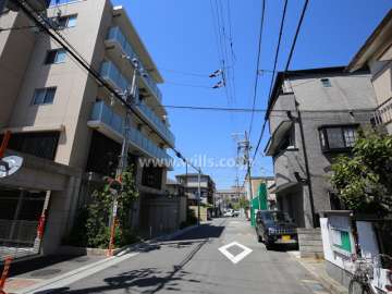 敷地北側の前面道路