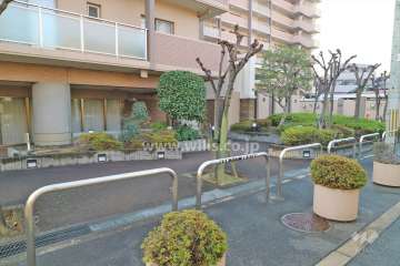 エントランスの植栽