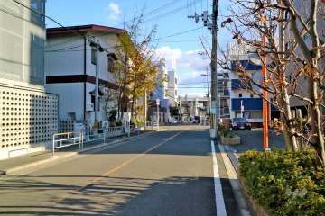 敷地北東側の前面道路（北西側から）