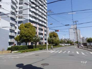 敷地の南側前面道路