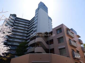 リバライン井高野3号棟の外観(北側から)