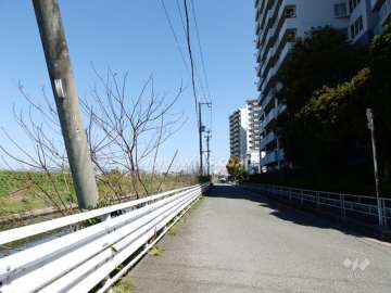 敷地西側前面道路