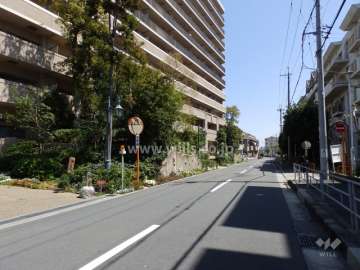 敷地南側前面道路