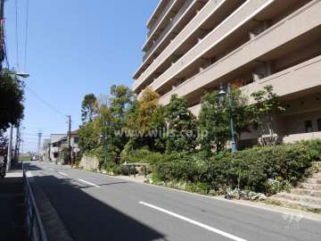 敷地南側前面道路