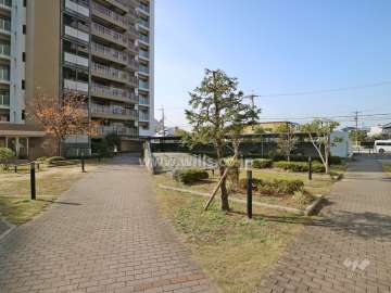 敷地内の各所に植栽スペースが設けられています。