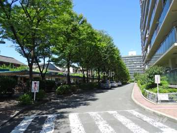 弐番館の前には駐車場への車路があり、街路樹が並びます。