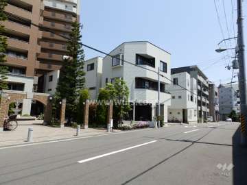 南西側前面道路（北西側から）