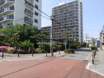 敷地西側前面道路