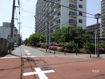 敷地南側前面道路