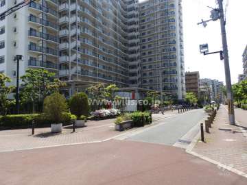 敷地北側前面道路