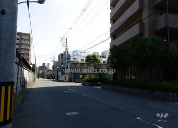 敷地西側前面道路