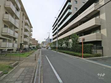 敷地南側の前面道路。