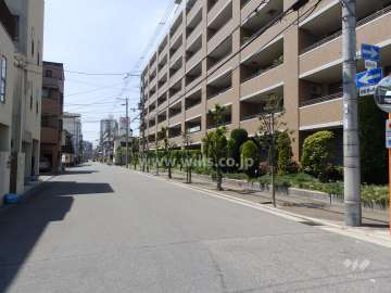 敷地南側の前面道路