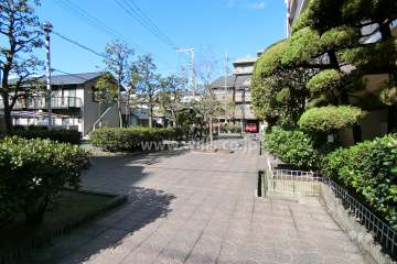 敷地の西側は広場になっています。