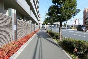 敷地南東側の前面道路。四車線のバス通りです。