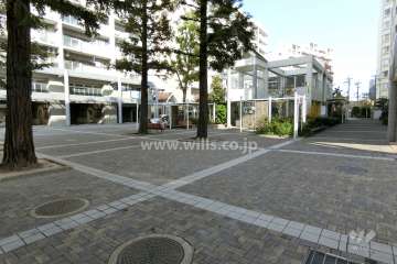 敷地内の各所に植栽スペースが設けられています。