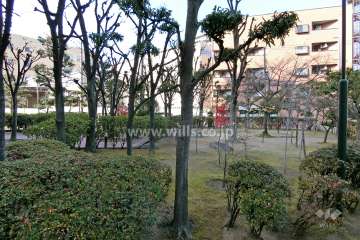 敷地内の各所に植栽スペースが設けられています。