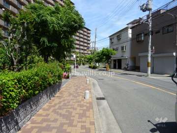 敷地南側の前面道路（西側から）