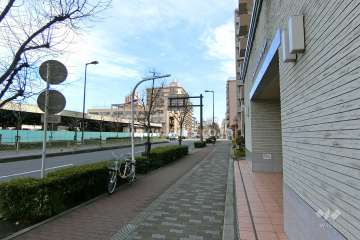 敷地北側の前面道路