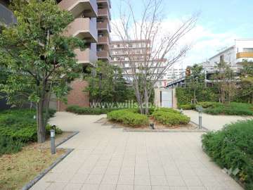 敷地内の各所に植栽スペースが設けられています。