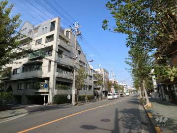 敷地南東側の前面道路