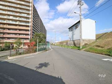 敷地東側の前面道路