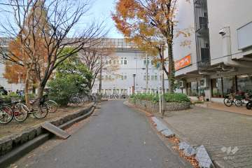 敷地南西側の前面道路（南東側から）