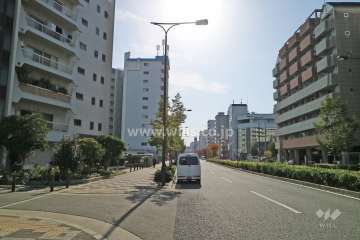 敷地西側の前面道路（北側から）