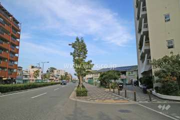 敷地西側の前面道路（南側から）