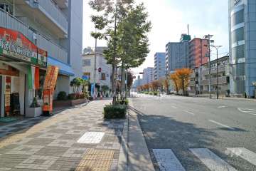 敷地西側の前面道路（北側から）