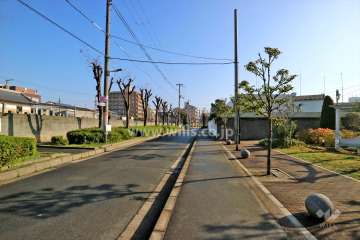 敷地北側の前面道路（西側から）