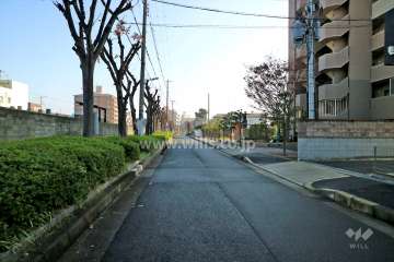敷地北側の前面道路（西側から）