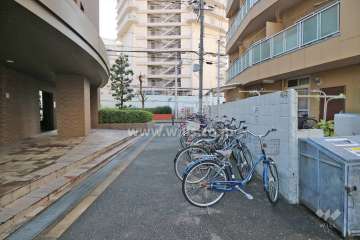 西側前面道路（北側から）