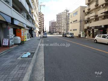 前面道路の南側道路(西側から)