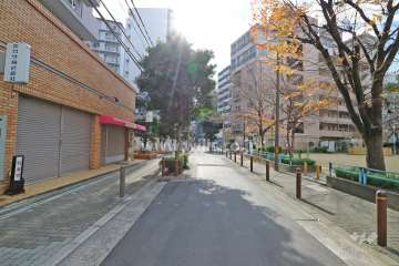 敷地北西側の前面道路（北東側から）