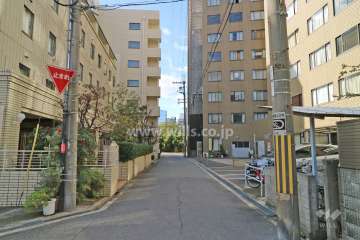 敷地南側の前面道路（東側から）