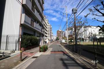 敷地南東側の前面道路（南西側から）