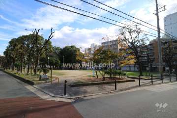 新駅2号公園