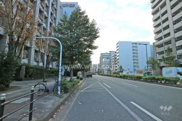 敷地北西側の前面道路（北東側から）