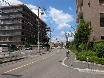 敷地東側の前面道路。二車線の通りです。
