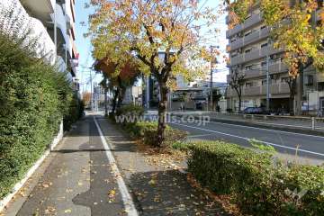 敷地南側の前面道路。4車線の道路です。