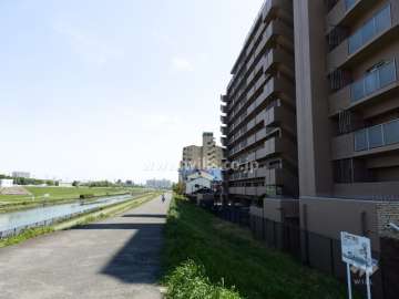 敷地北側前面道路※道路を挟んで北側は神崎川が流れています。